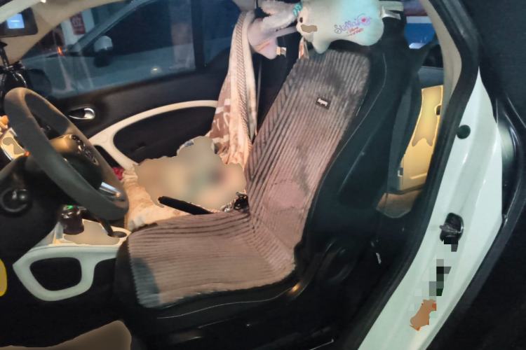 Used smart fortwo 2015 1.0L 52 kW Hardtop Passion Edition Left Front Seat