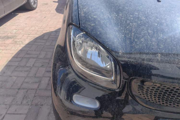 Used smart fortwo 2015 1.0L 52 kW Hardtop Passion Edition Right Front Headlight