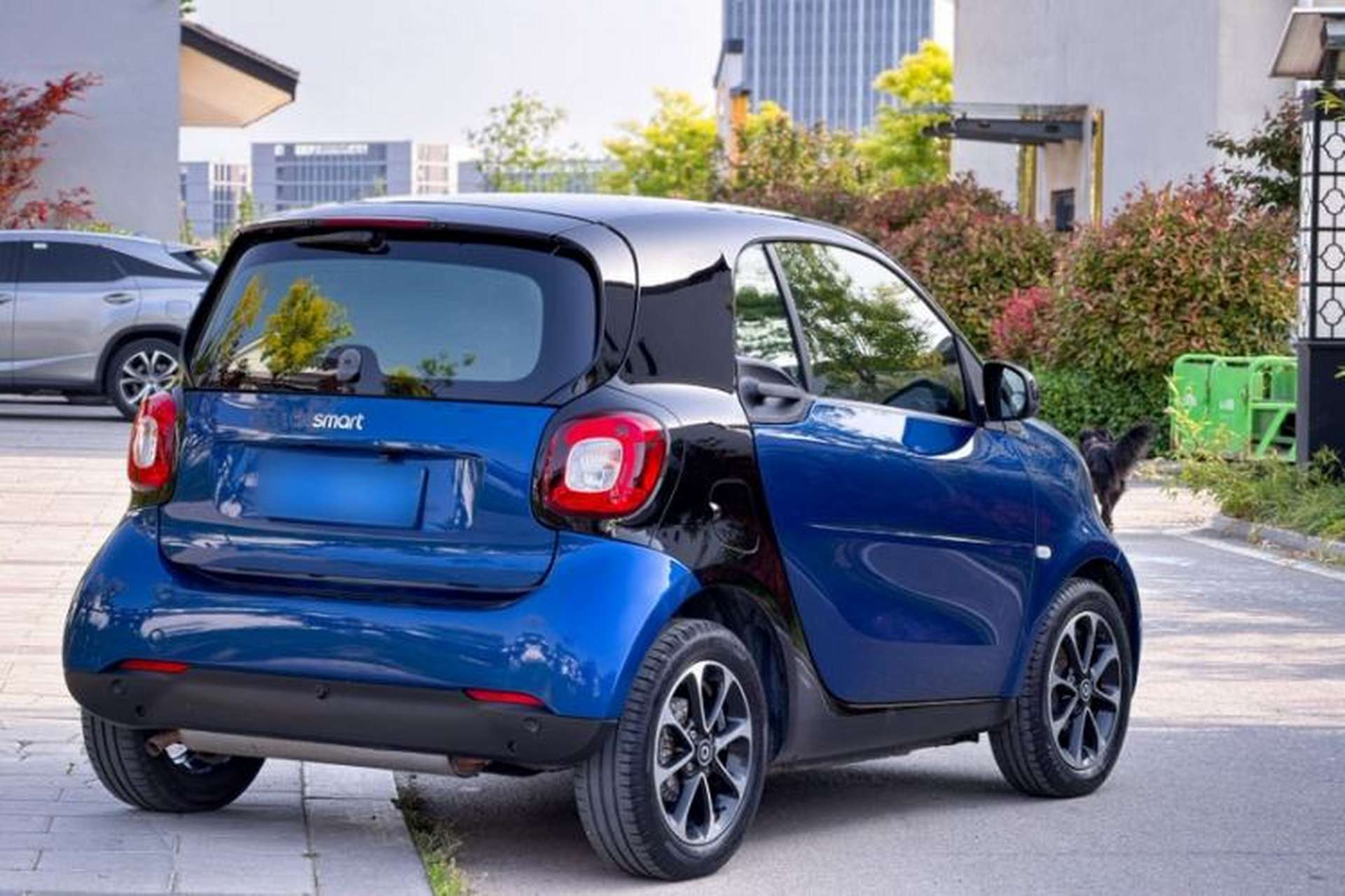 Used smart fortwo 2015 1.0L 52 kW Hardtop Passion Edition Exterior 2