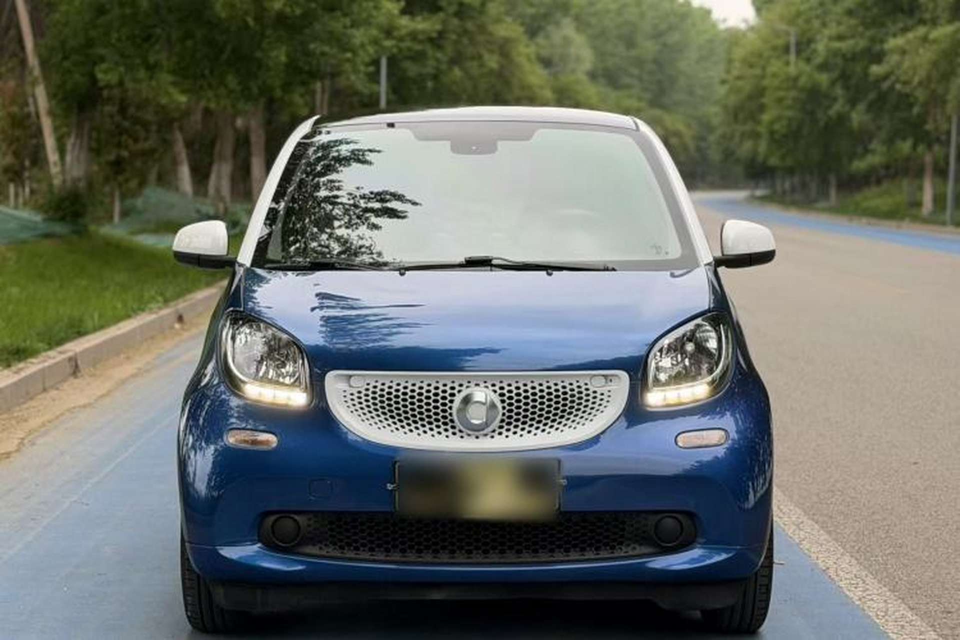 Used smart fortwo 2015 1.0L 52 kW Hardtop Passion Edition Exterior 3