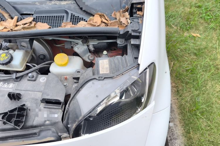 Used smart fortwo 2015 1.0L 52 kW hardtop Dynamic version Engine Bay Left