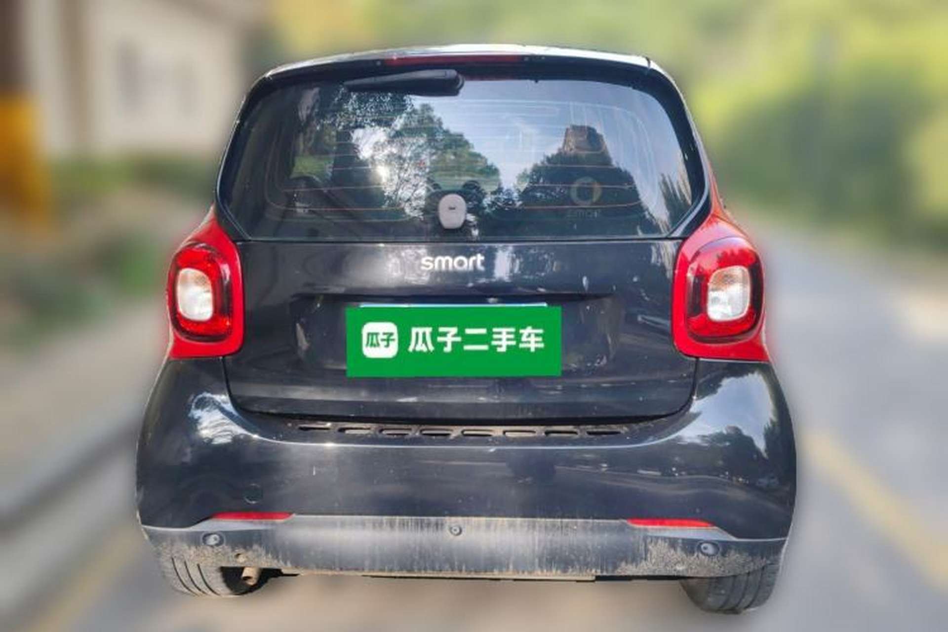 Used smart fortwo 2015 1.0L 52 kW Hardtop Passion Edition Rear