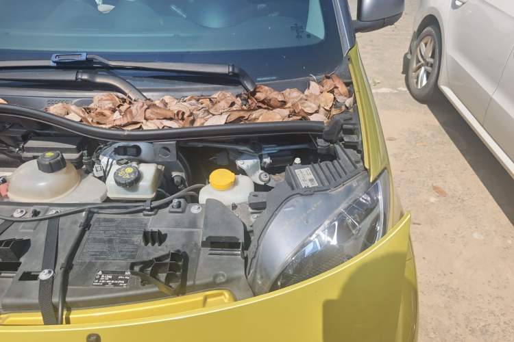 Used smart fortwo 2015 1.0L 52 kW Hardtop Passion Edition Engine Bay Left