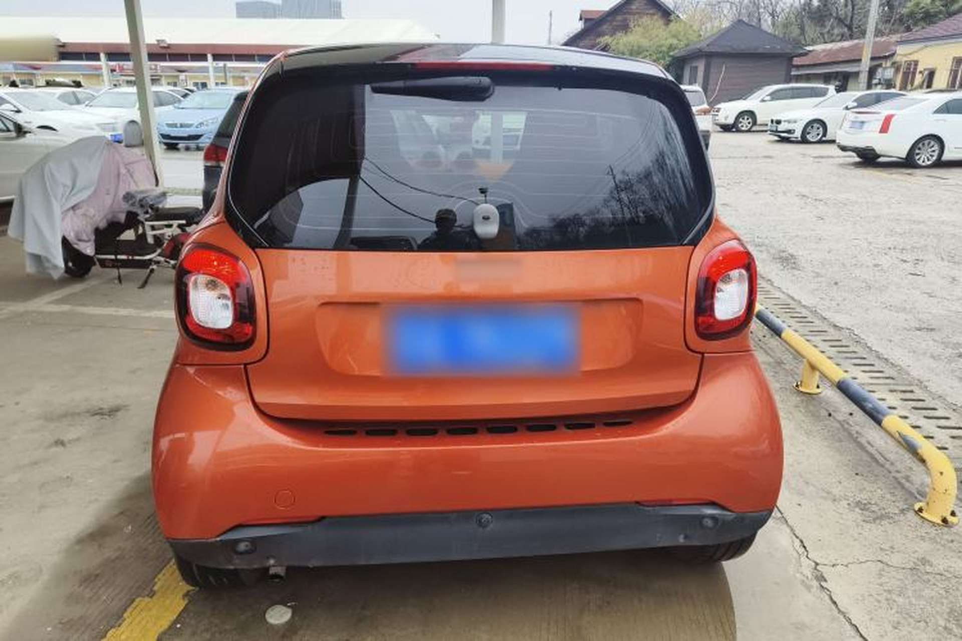 Used smart fortwo 2015 1.0L 52 kW Hardtop Passion Edition Rear