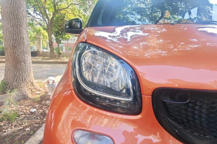 Used smart fortwo 2015 1.0L 52 kW Hardtop Passion Edition Right Front Headlight