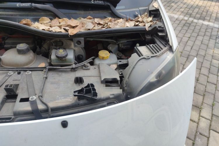 Used smart fortwo 2015 1.0L 52 kW hardtop Dynamic version Engine Bay Left