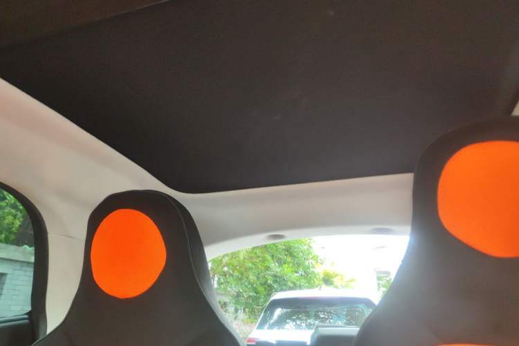 Used smart fortwo 2015 1.0L 52 kW Hardtop Passion Edition Headliner