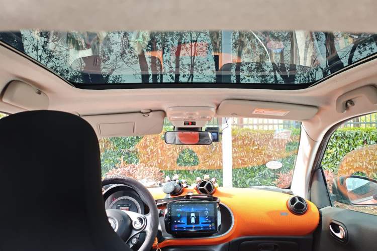 Used smart fortwo 2015 1.0L 52 kW Hardtop Passion Edition Headliner