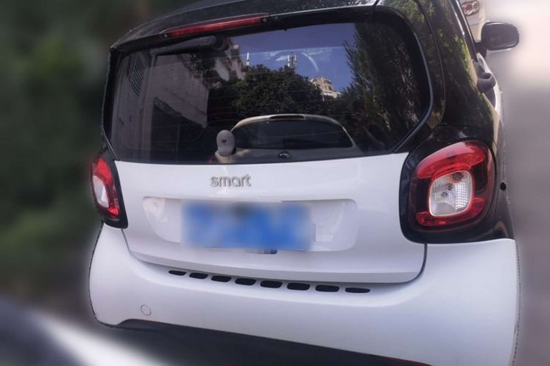 Used smart fortwo 2015 1.0L 52 kW hardtop Dynamic version Rear