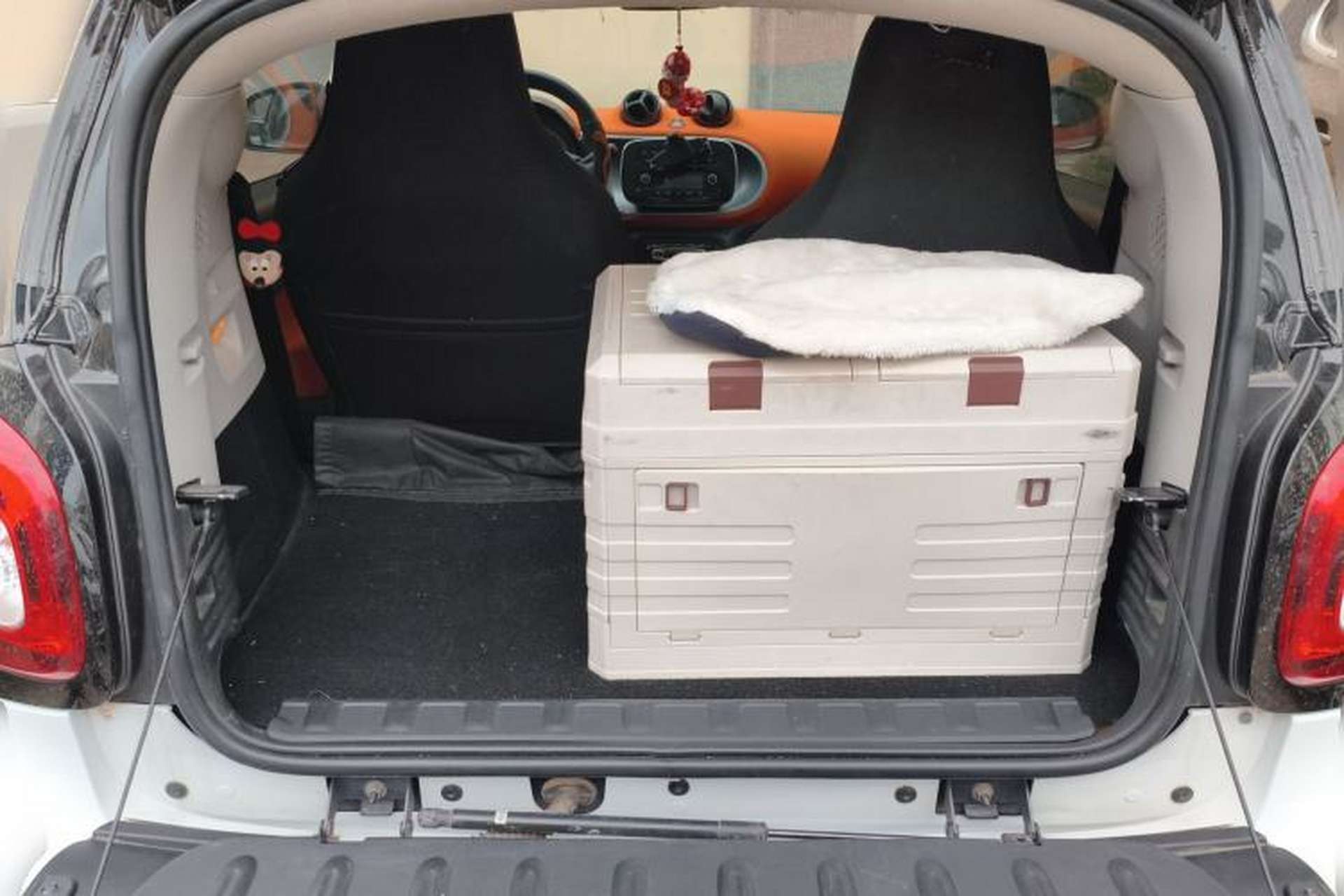 Used smart fortwo 2015 1.0L 52 kW Hardtop Passion Edition Trunk