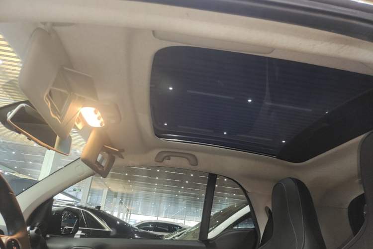 Used smart fortwo 2016 0.9T 66kW Hardtop Pioneer Edition Headliner