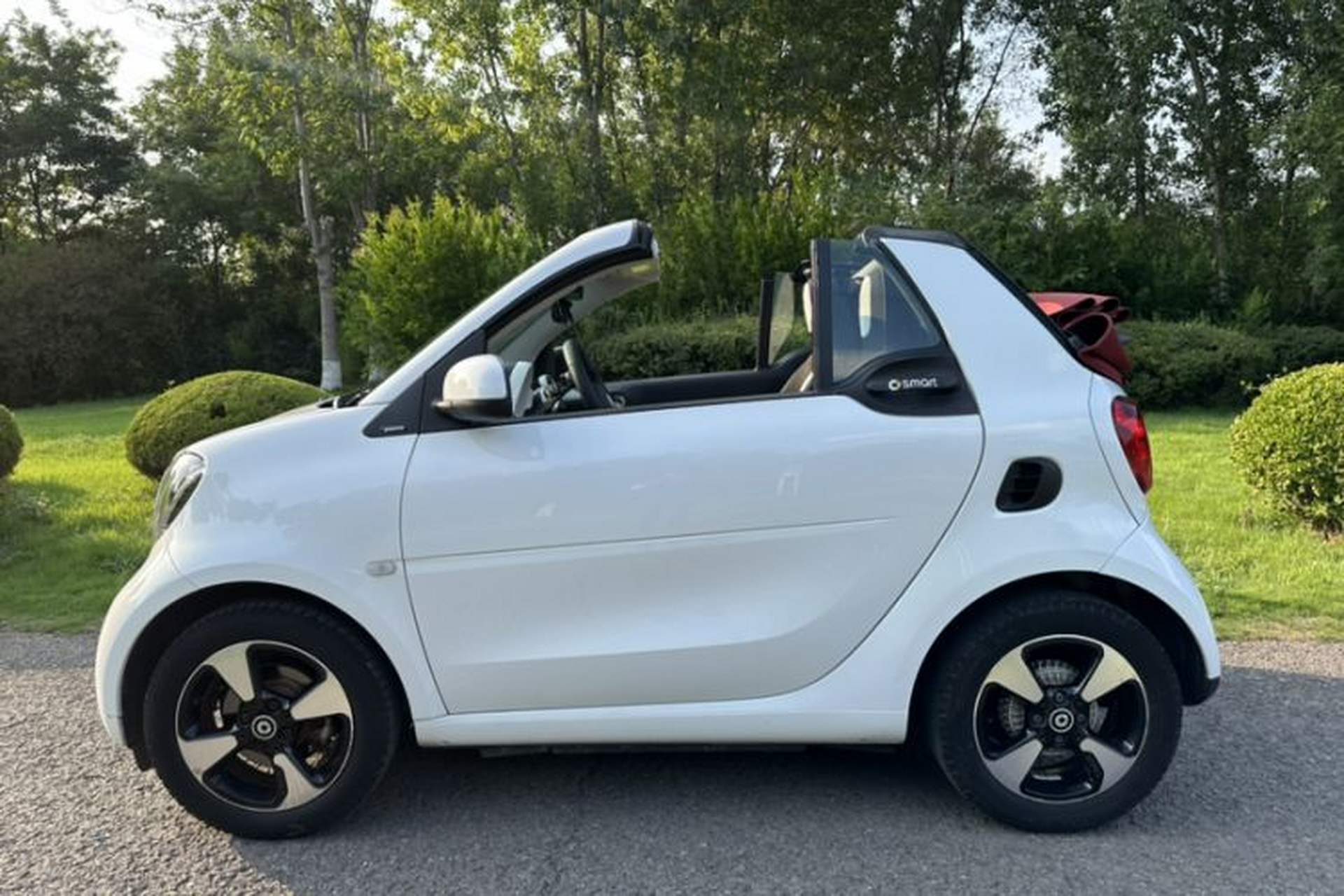 Used smart fortwo 2016 1.0L 52 kW Convertible Passion Edition Exterior 6