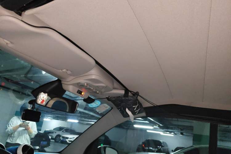 Used smart fortwo 2016 0.9T 66kW Convertible Ultimate Edition Headliner