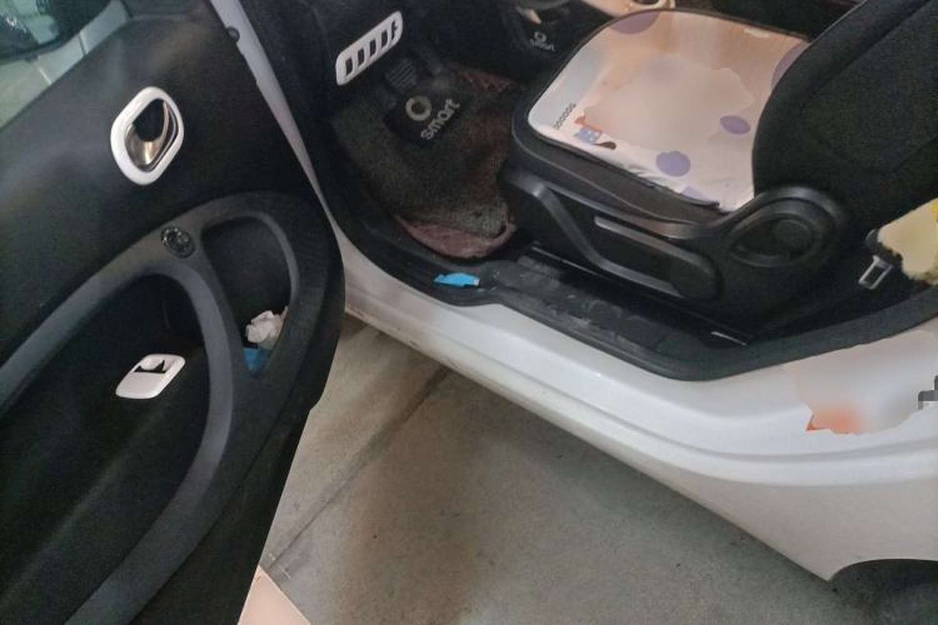 Used smart fortwo 2017 1.0L 52kW New Sound Special Edition China V Emission Standard Driver Seat