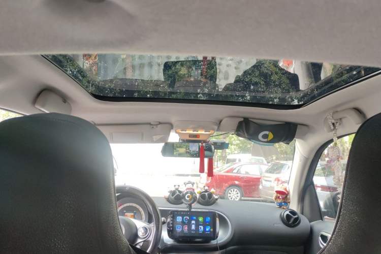 Used smart fortwo  Headliner