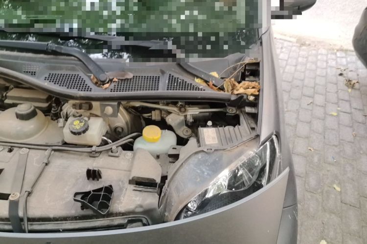 Used smart fortwo 2018 1.0L 52kW Hardtop Passion Edition China V Standard Engine Bay Left