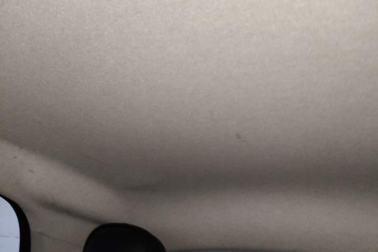 Used smart fortwo 2018 1.0L 52kW Hardtop Dynamic Version China V Headliner