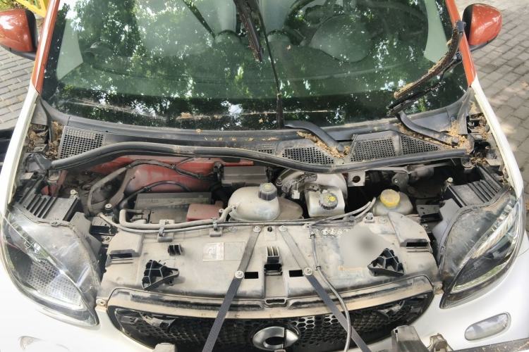 Used smart fortwo 2018 1.0L 52kW Hardtop Dynamic Version China V Engine Bay