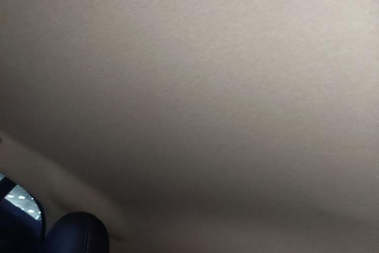 Used smart fortwo 2018 1.0L 52kW Hardtop Dynamic Version China V Headliner