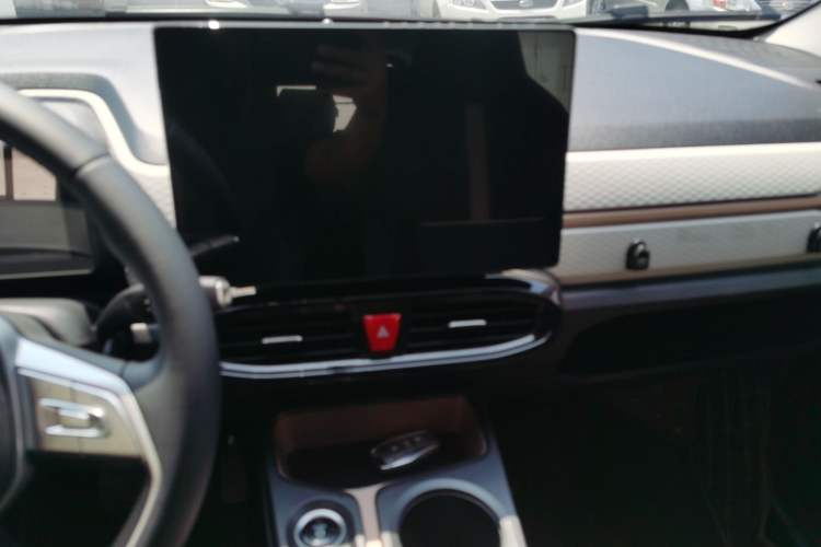 Used SOL 2022 Flower Fairy Style Baby's Breath Audio And AC Panel