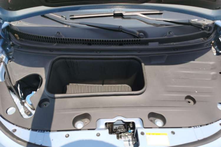 Used SOL 2022 Flower Fairy Style Baby's Breath Engine Bay