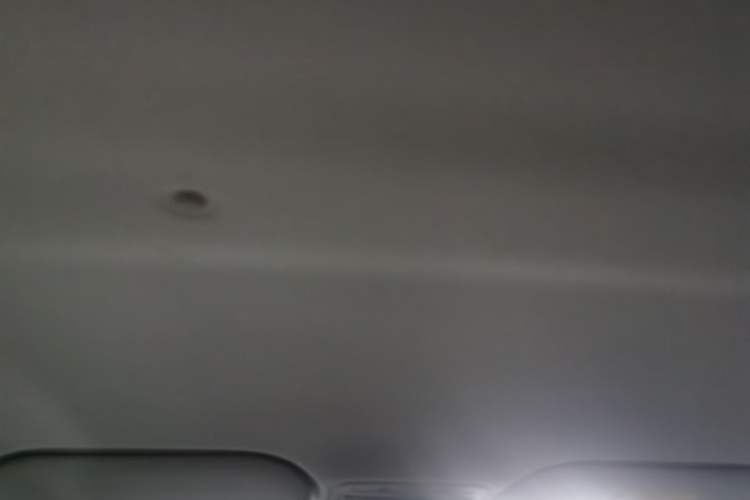 Used SOL 2022 Flower Fairy Design Four-Leaf Clover Headliner