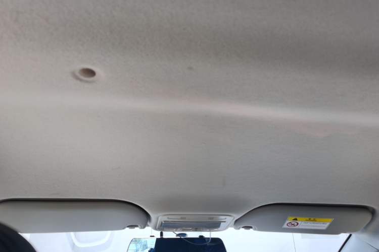 Used SOL 2022 Flower Fairy Style Baby's Breath Headliner