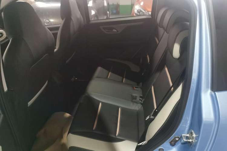 Used SOL 2022 Flower Fairy Design Four-Leaf Clover Left Rear Seat