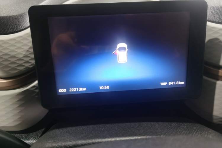 Used SOL 2022 Flower Fairy Design Four-Leaf Clover Odometer Close Up