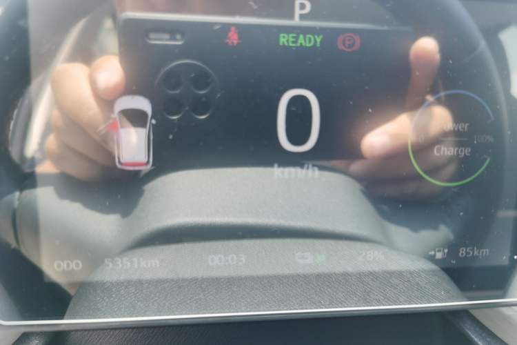 Used SOL 2022 Flower Fairy Style Baby's Breath Odometer Close Up