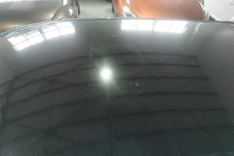Used SOL 2022 Flower Fairy Design Four-Leaf Clover Roof
