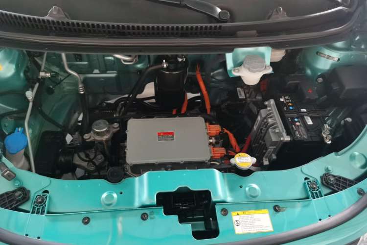Used SOL 2022 Flower Fairy Design Four-Leaf Clover Engine Bay