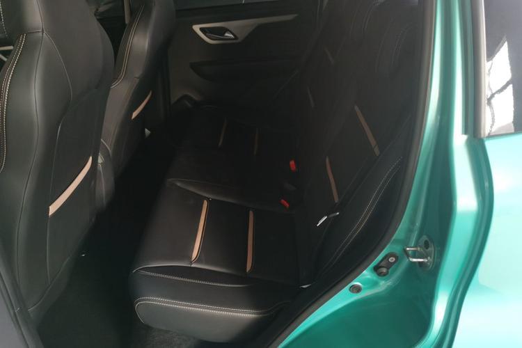 Used SOL 2022 Flower Fairy Design Four-Leaf Clover Left Rear Seat