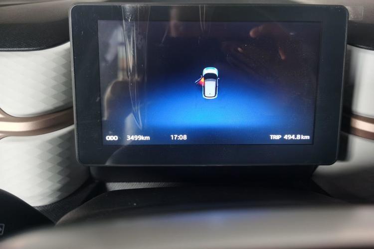 Used SOL 2022 Flower Fairy Design Four-Leaf Clover Odometer Close Up