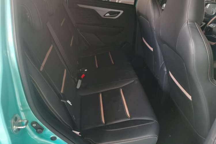 Used SOL 2022 Flower Fairy Design Four-Leaf Clover Right Rear Seat