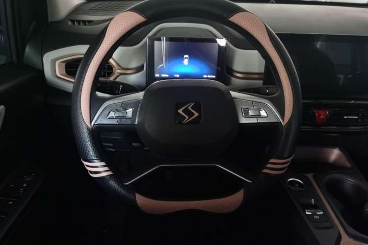 Used SOL 2022 Flower Fairy Design Four-Leaf Clover Steering Wheel