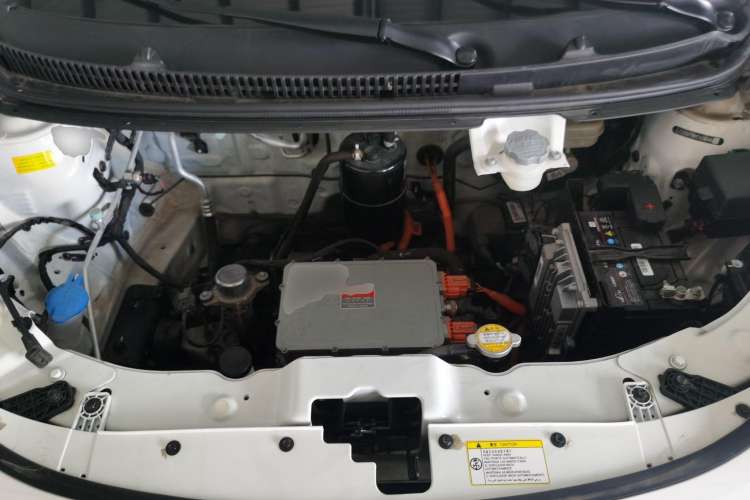 Used SOL 2022 Flower Fairy Style Baby's Breath Engine Bay