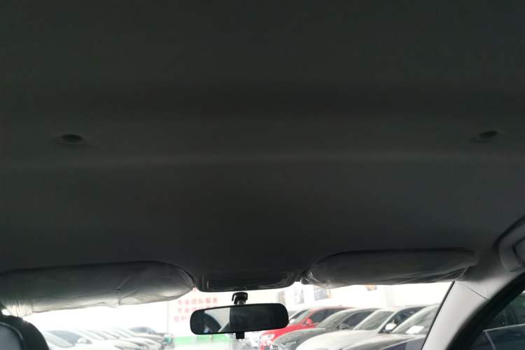 Used SOL 2022 Flower Fairy Style Baby's Breath Headliner