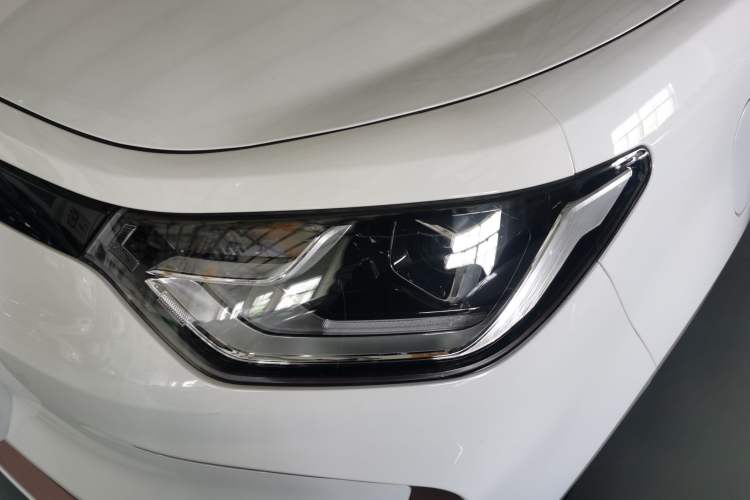 Used SOL 2022 Flower Fairy Style Baby's Breath Left Front Headlight