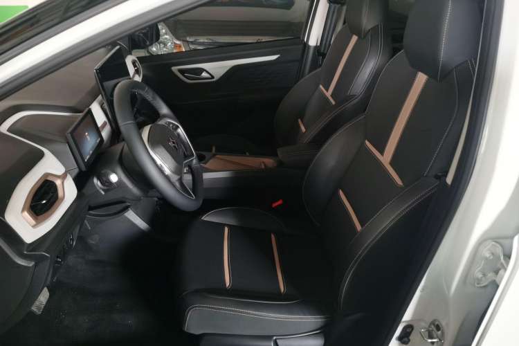 Used SOL 2022 Flower Fairy Style Baby's Breath Left Front Seat