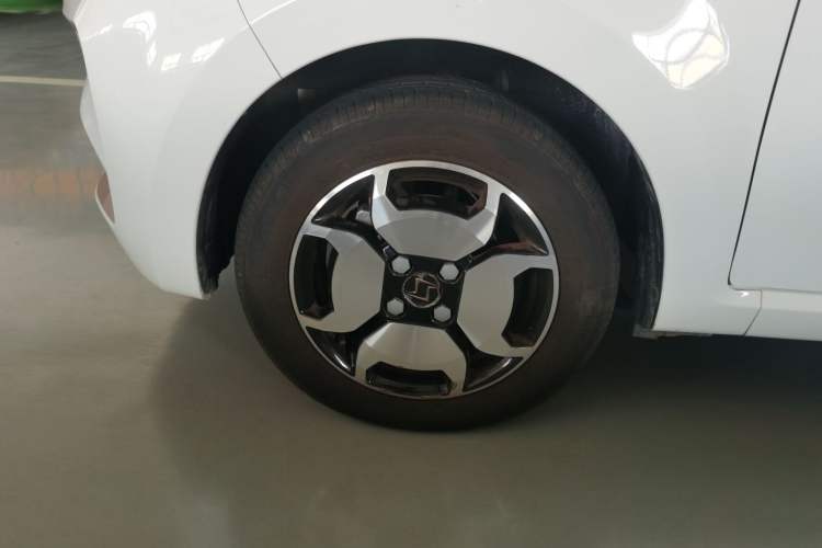 Used SOL 2022 Flower Fairy Style Baby's Breath Left Front Wheel Hub