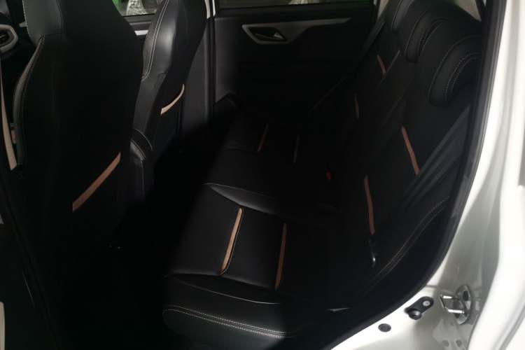 Used SOL 2022 Flower Fairy Style Baby's Breath Left Rear Seat