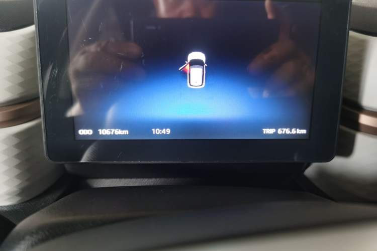 Used SOL 2022 Flower Fairy Style Baby's Breath Odometer Close Up