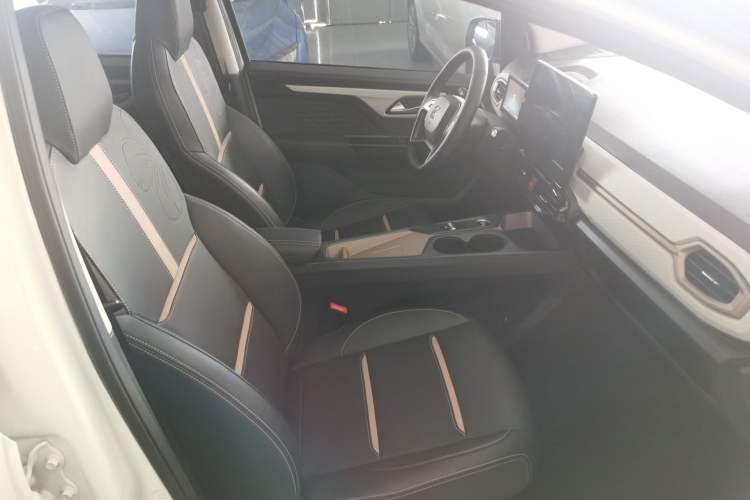 Used SOL 2022 Flower Fairy Style Baby's Breath Right Front Seat