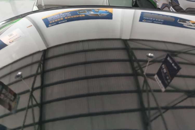 Used SOL 2022 Flower Fairy Style Baby's Breath Roof