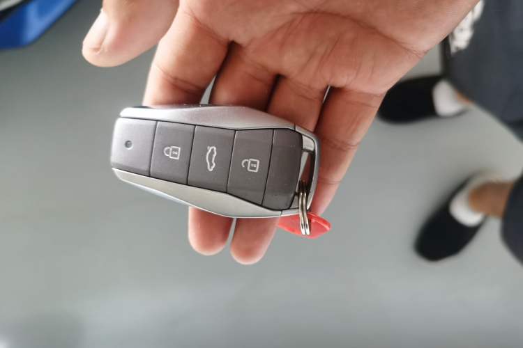 Used SOL 2022 Flower Fairy Style Baby's Breath Vehicle Key