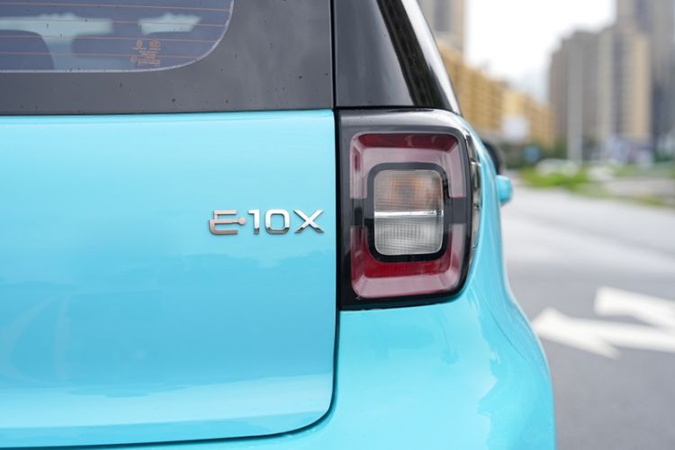 Used SOL E10X 2022 Flower Fairy Style Baby's Breath Exterior 7