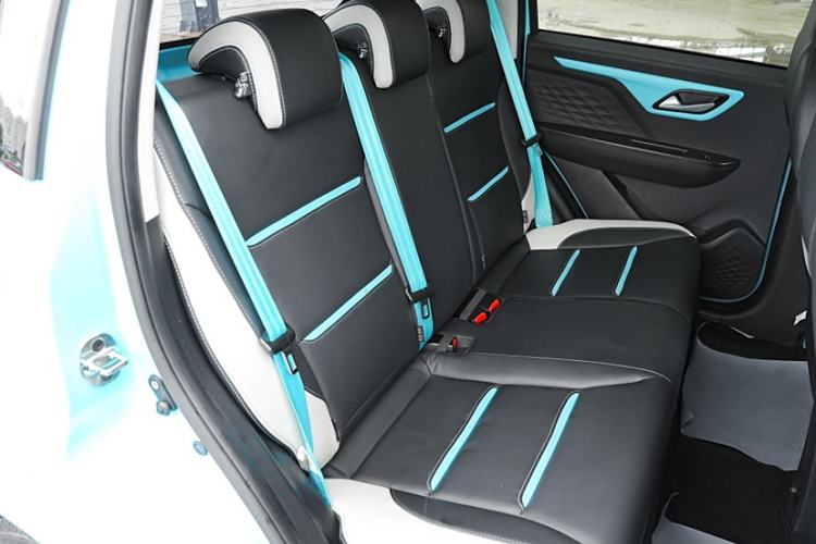 Used SOL E10X 2022 Flower Fairy Style Baby's Breath Interior 10