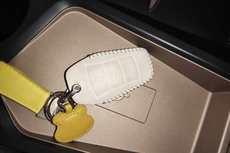 Used SOL E10X 2022 Flower Fairy Design Four-Leaf Clover Vehicle Key