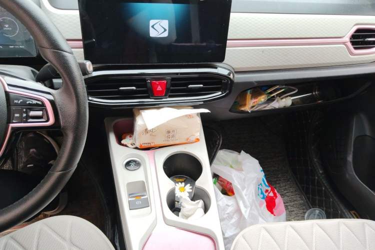 Used SOL E10X 2021 Jimei Edition 302km Luxury Model Audio And AC Panel